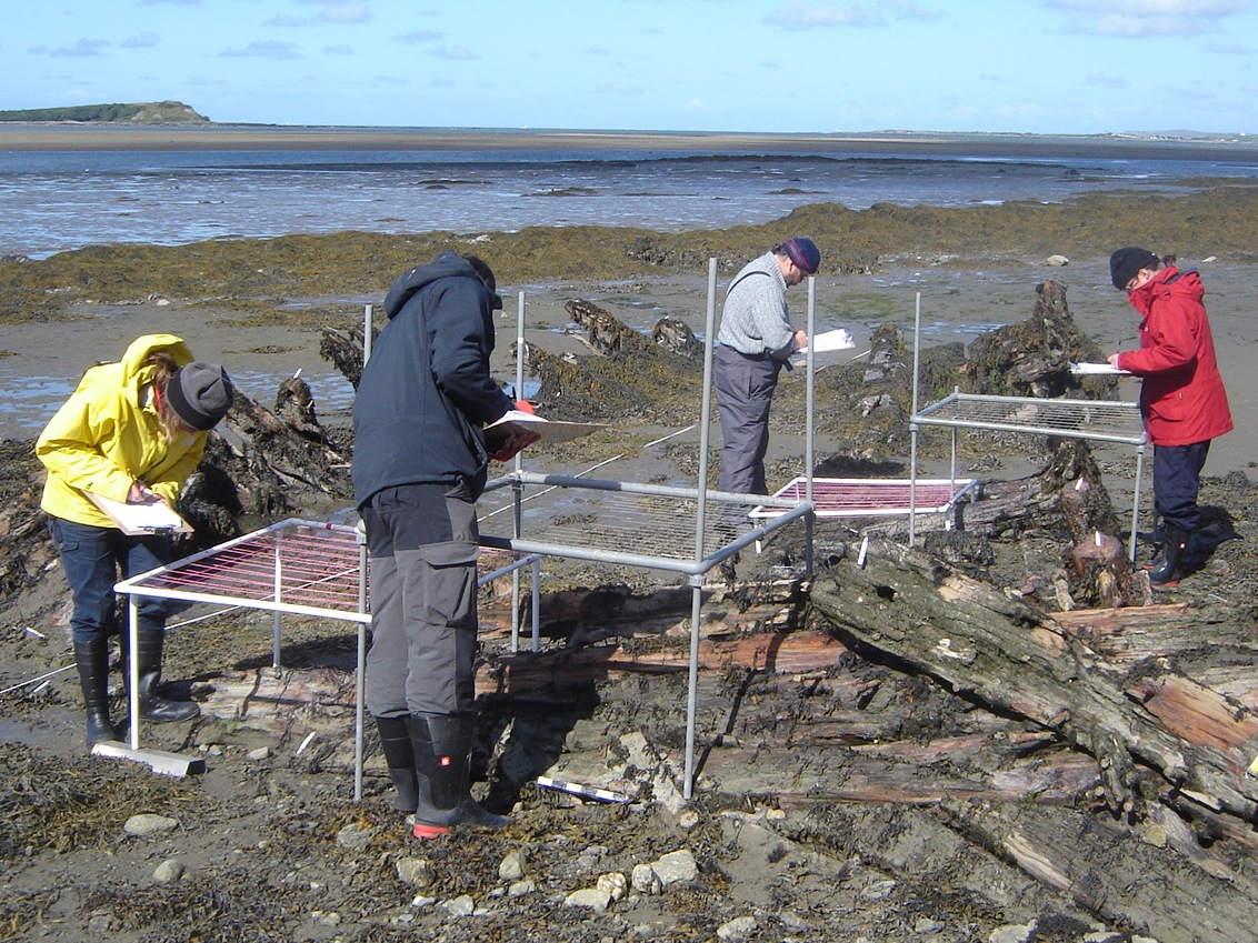 Surveying the wreck of the Thora on Anglesey